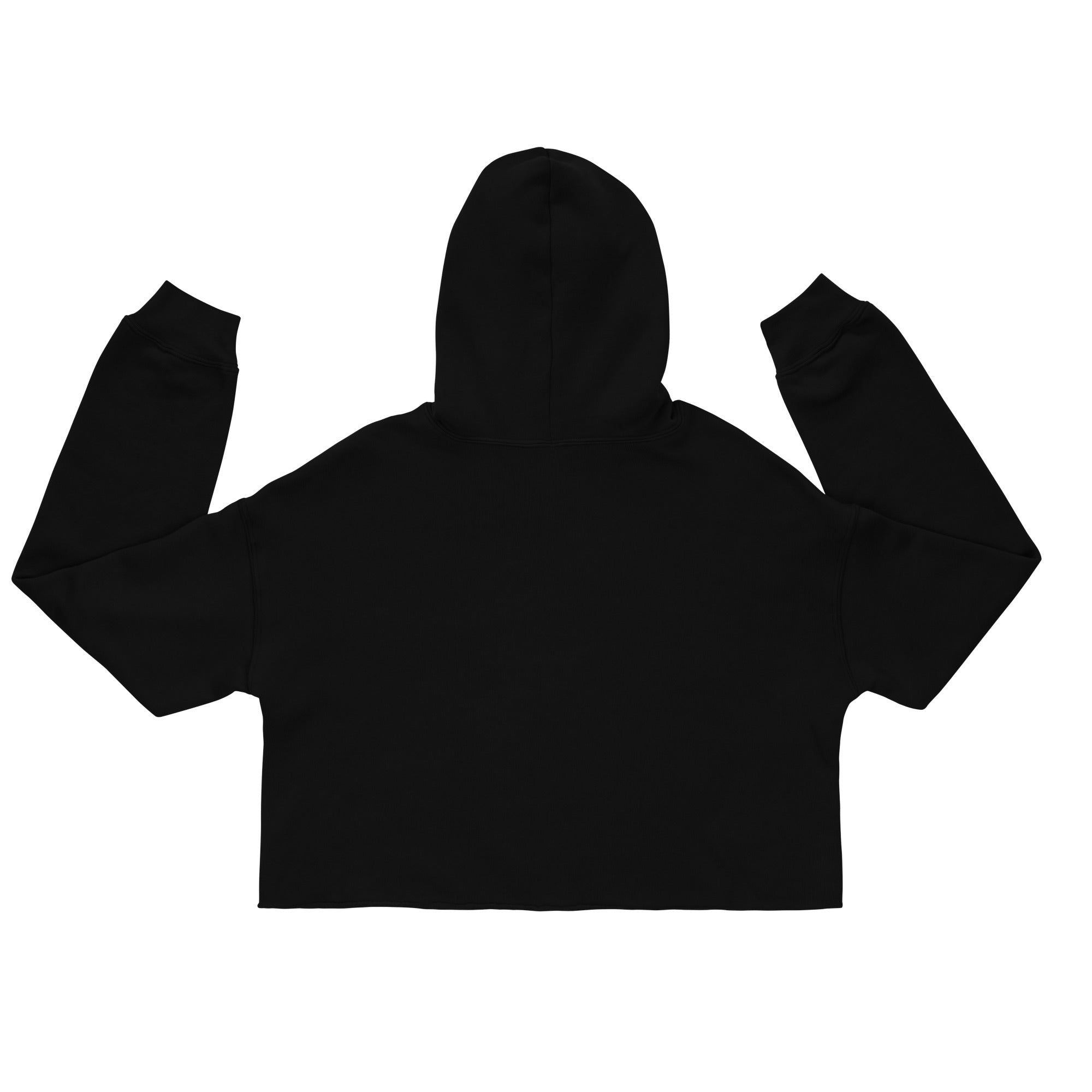 God Has A Plan Crop Hoodie Back
