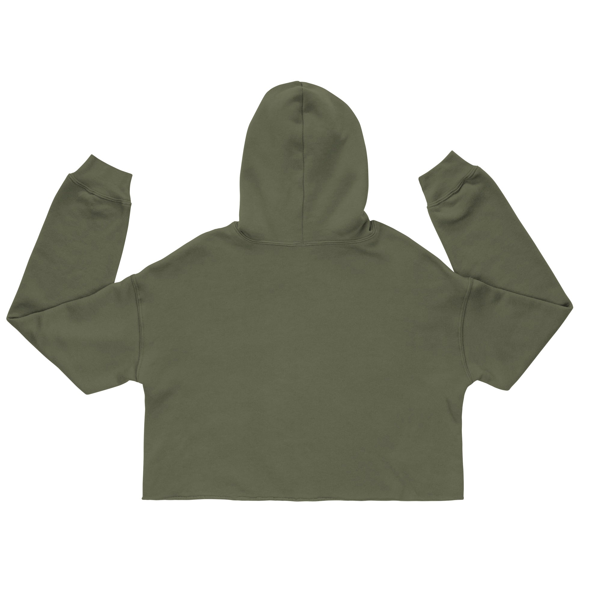 God Has A Plan Crop Hoodie Back