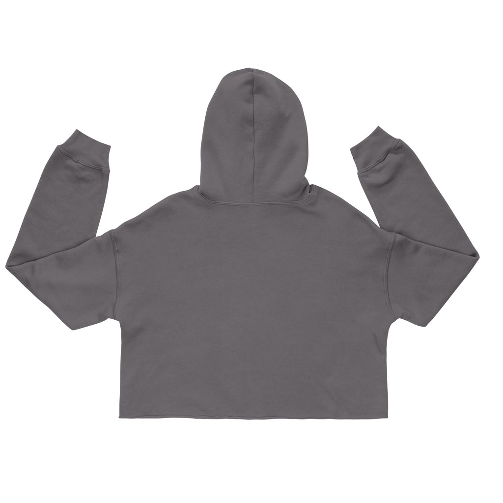 God Has A Plan Crop Hoodie back

