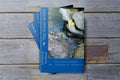 The Vision Within (Paperback Book) - Peachy Brass