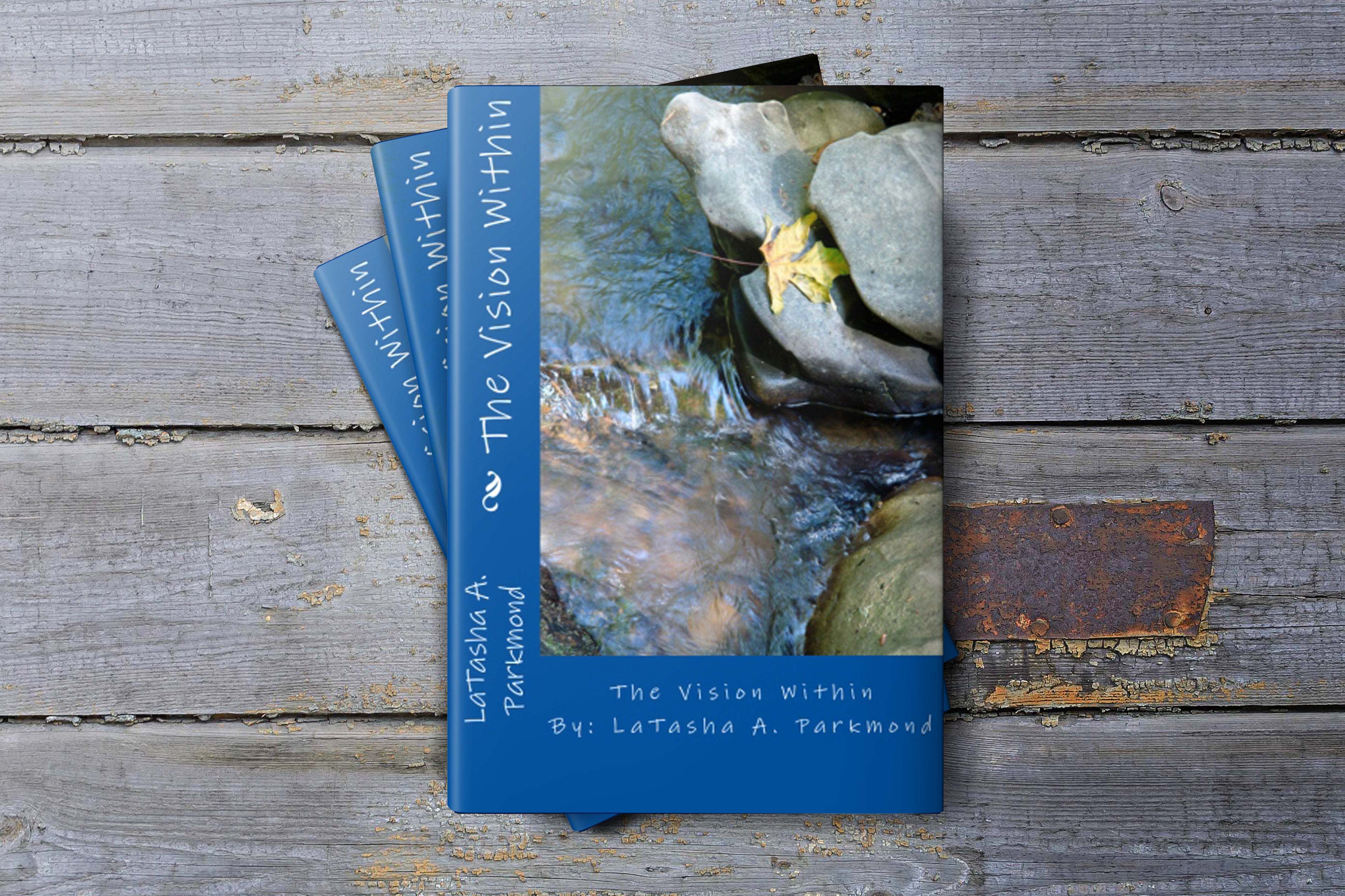The Vision Within (Paperback Book) - Peachy Brass